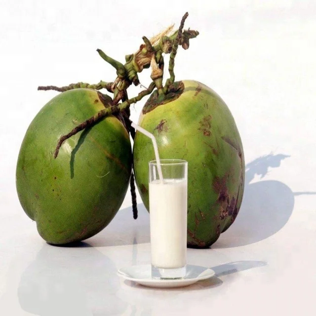 NEW condition turn key project complete coconut milk processing machines line