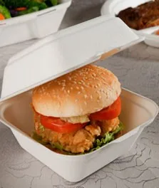 unbleached biodegradable food containers
