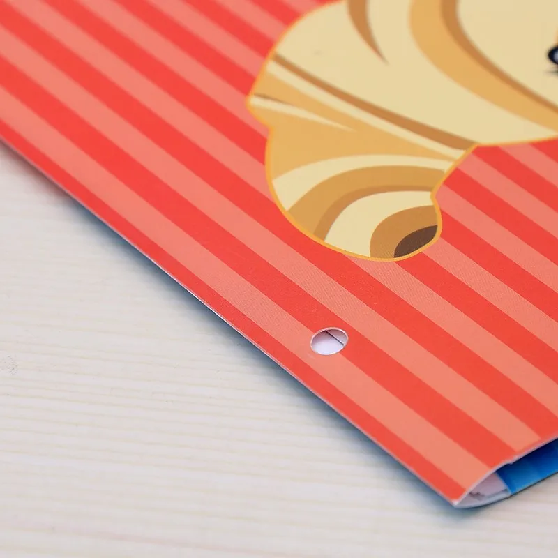 Оптовая продажа, индивидуальный двойной карманный поли-портфель и папка A4/пластиковая прозрачная папка для файлов