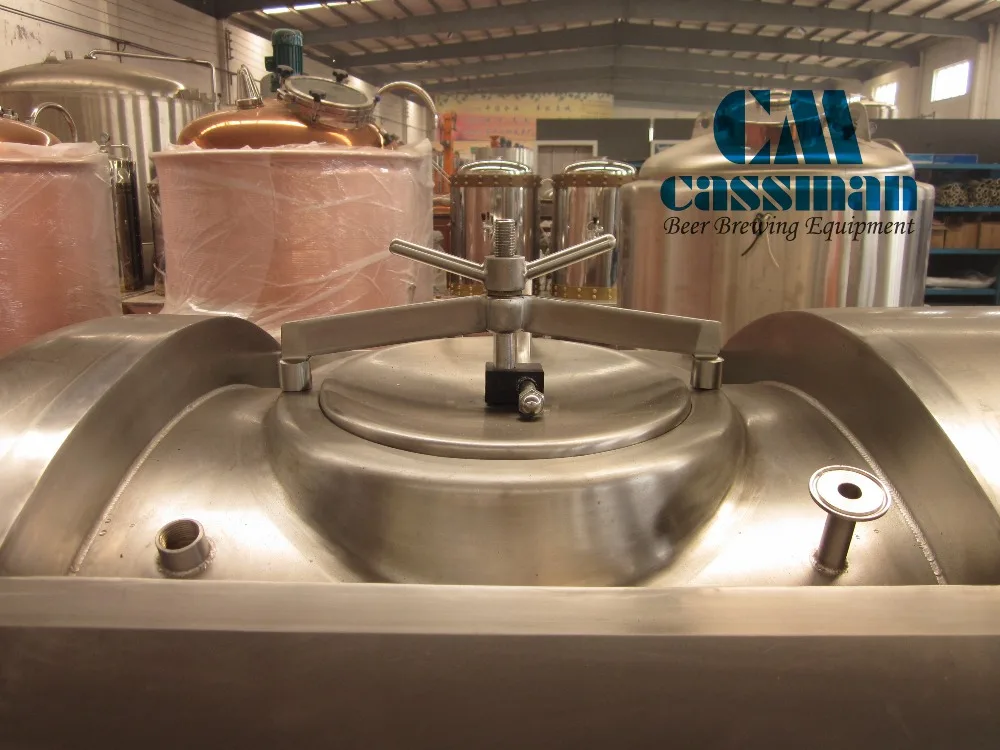 Cassman 20L beer keg washer for brewery