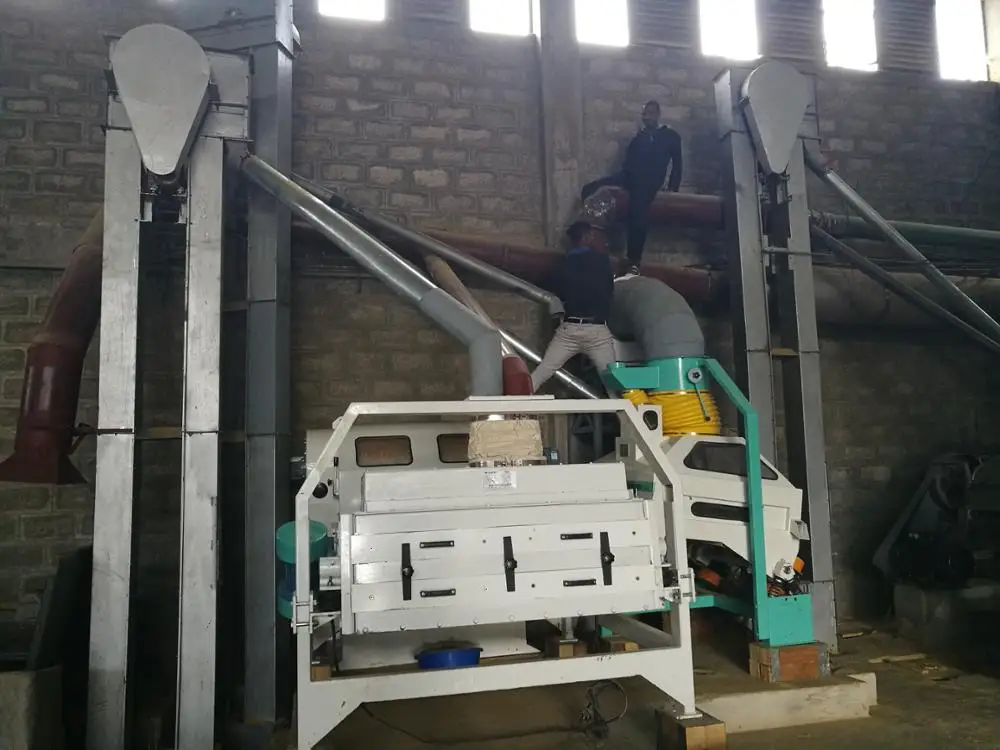 8T/Hour Cocoa Beans Coffee Cleaning Project Pulses and Grading Equipment