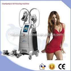 Hot in USA 4 Probes Cryotherapy Cryolipolysic Machine for Weight Loss