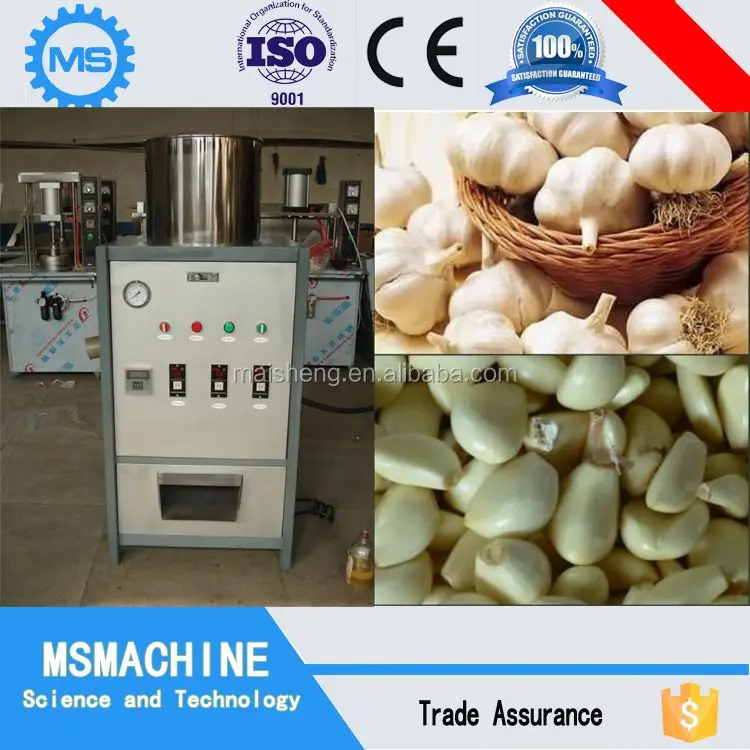 
high quality ginger garlic paste making machine 