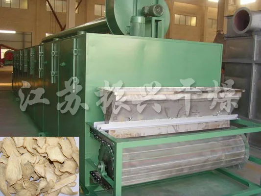 Циркуляции горячего Воздуха Один Слой Ленточная Сушилка для Кусочек Имбиря