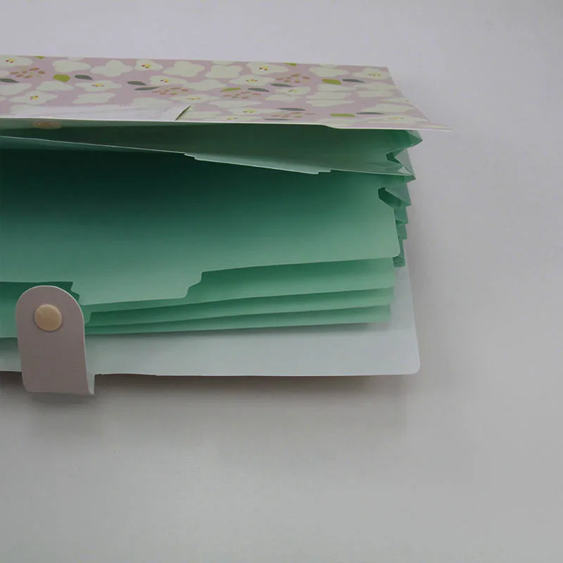 2020 Fashion type China supplier hard cover a3 file folder a3 hard cover file folder plastic file folder a4