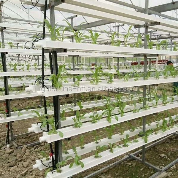 
PVC Hydroponics square tube Industrial Hydroponic greenhouse System 