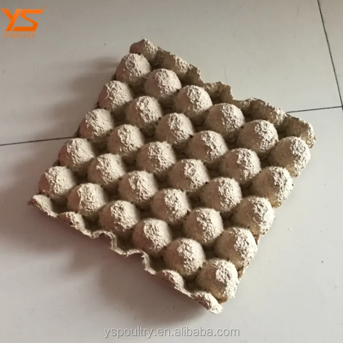 
Biodegradable Paper Pulp Egg Tray Price 