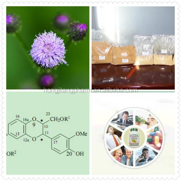 
BEST SELLER High Quality Natual Silymarin Milk Thistle Extract by HPLC Silybin 30%-80%-90% 