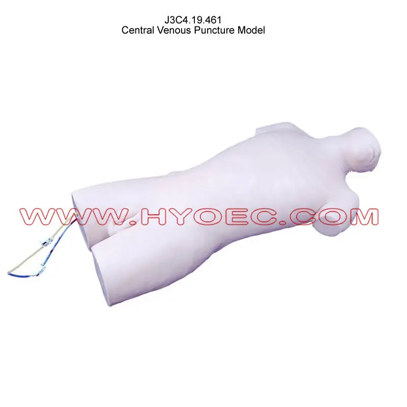 Central Venous Puncture Model-J3C4.19.461