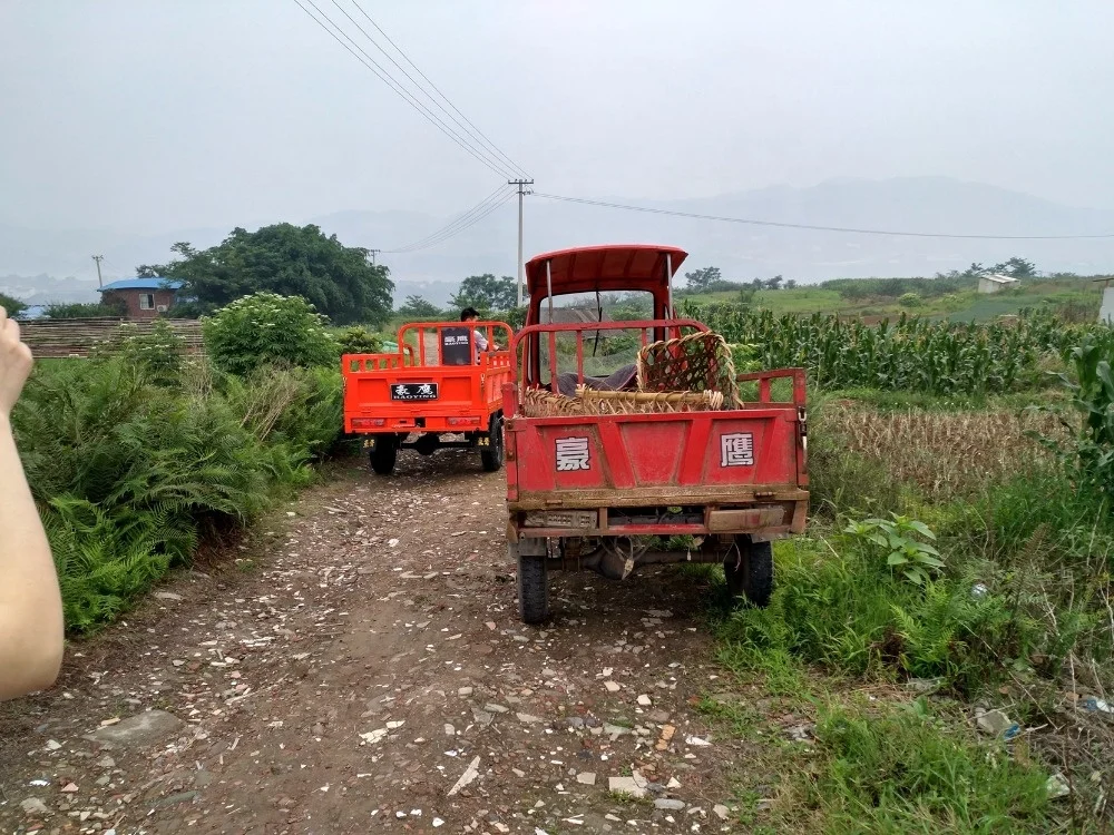 Cheap Price Canton Fair HOYIN 150cc cargo tricycle 3 wheel motorcycle light trike