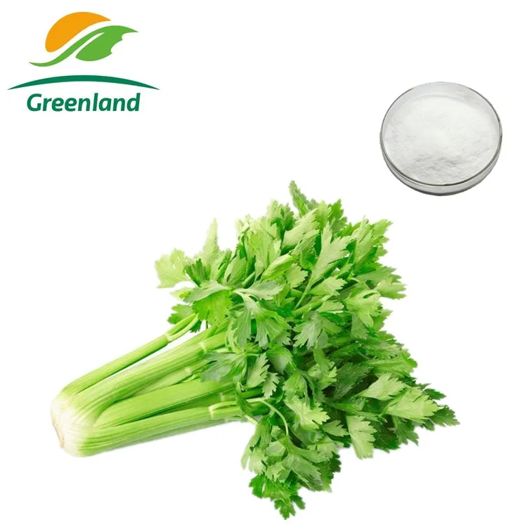 Поставка из Гренландии, 100% натуральный экстракт сельдерея с 10% ~ 98 апигенином