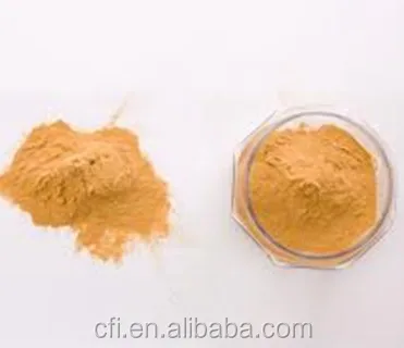 
Japanese Style Spray Dried Soy Sauce Powder 