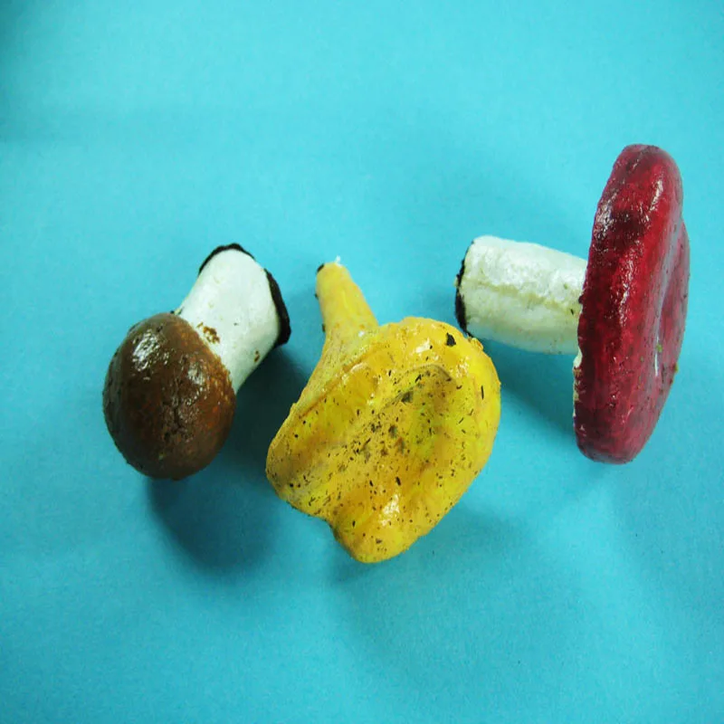 
High Quality Low Price Mushroom Models Set 