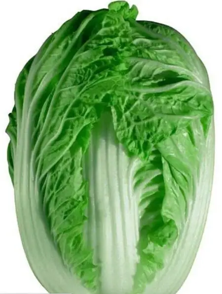 Quality vegetable seeds for sale best price chinese cabbage seed