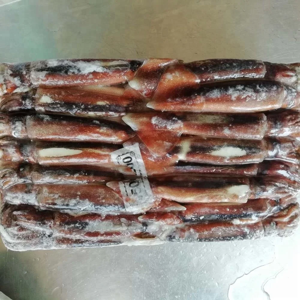 Морепродукты, замороженный кальмар Illex для приманки тунца