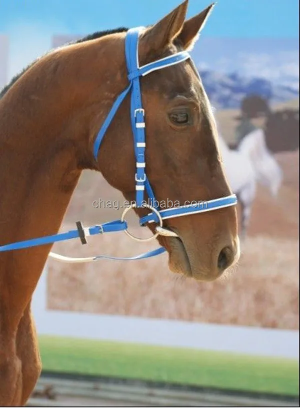 100% eco-friendly colorful classic english pvc horse bridle and rein single noseband