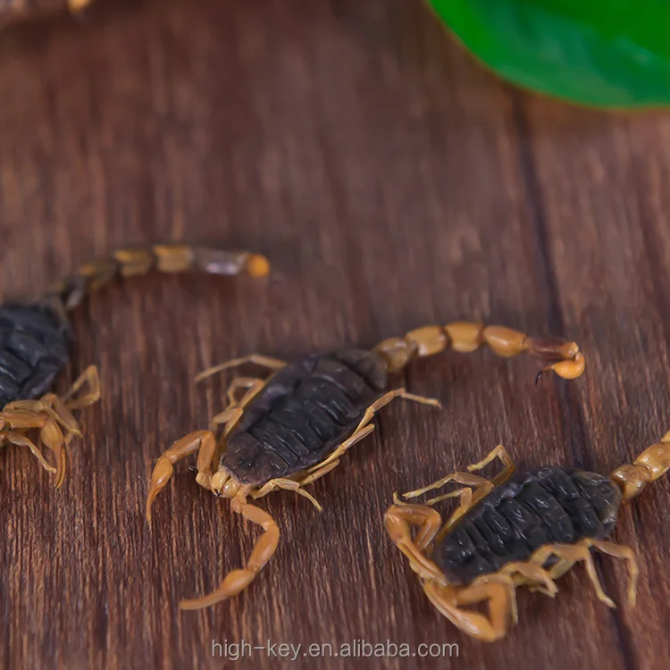 
10016 quan xie Pure Natural Chinese Medicine Herb Scorpion Powder 