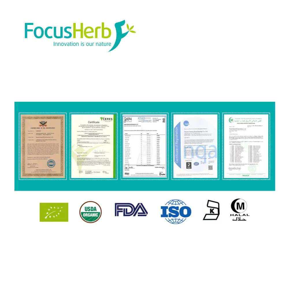 
Spray Dried Natural Pumpkin Powder 