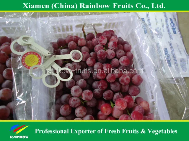 
fresh Red Sweet seeded grape fruit export from China 