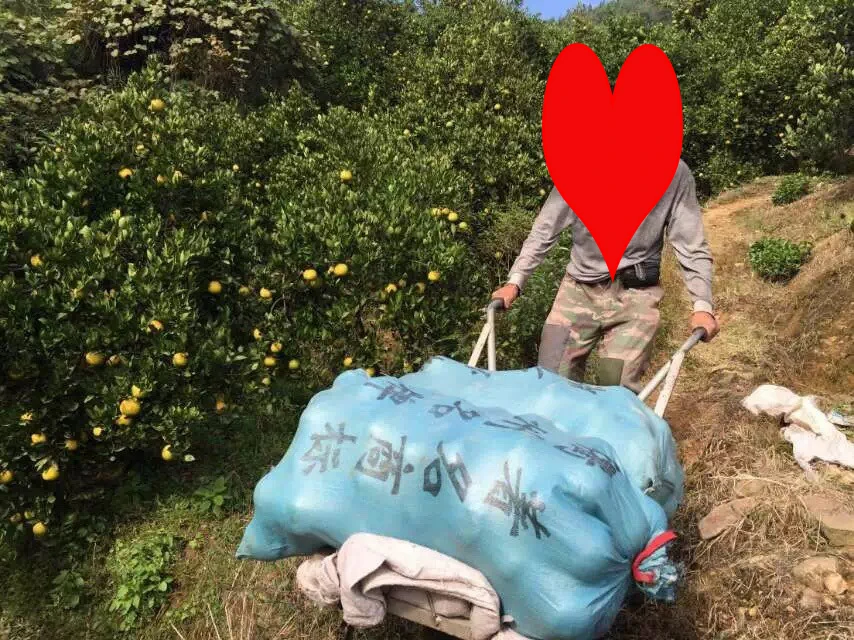 most convenient welding Single Wheelbarrow for Agriculture and Industry with Brake