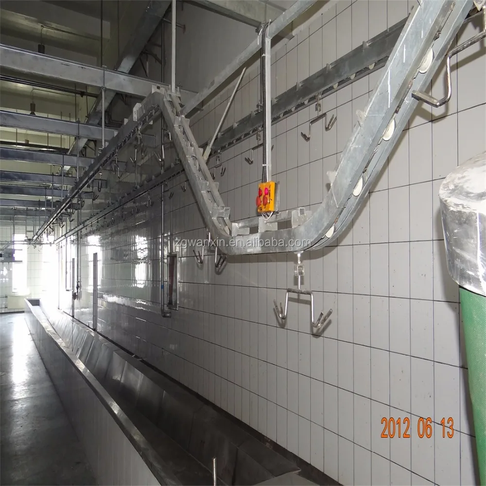 Live Sheep Slaughterhouse Goat abattoir Lamb Slaughter