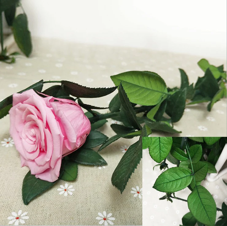 70cm Best Quality Natural long forever Preserved Rose Stem For Making Preserved Glass Dome Rose