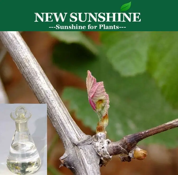 Dormancy-breaking PGR Hydrogen cyanamide 50% SL