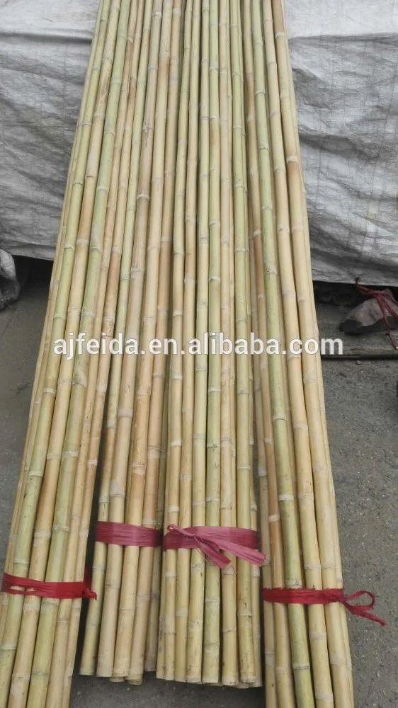 FD Wholesale straight bamboo poles/building construction material