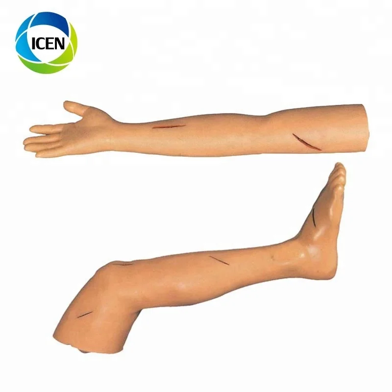 В-411 медицинская модель для обучения человеку улучшенная тренировочная ножка
