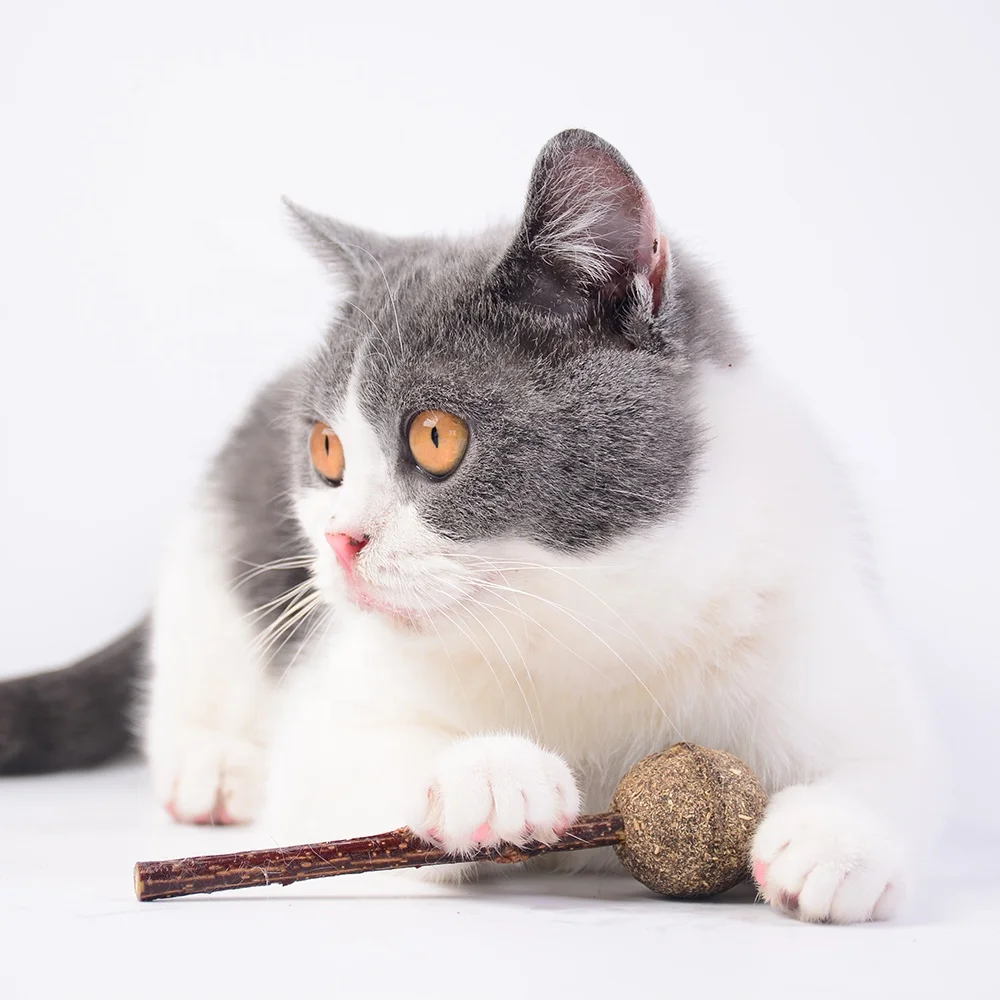 CAT Chew Matatabi Stick Toy silvervine Catnip Cute Lollipop Shape Catnip For Cat Tooth Matatabli Cleaning Molar Toy