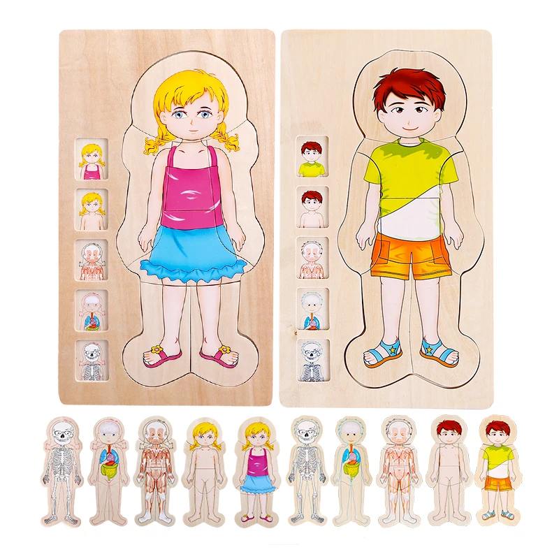 New design educational toys body structure wooden puzzle toy human body cognition puzzle