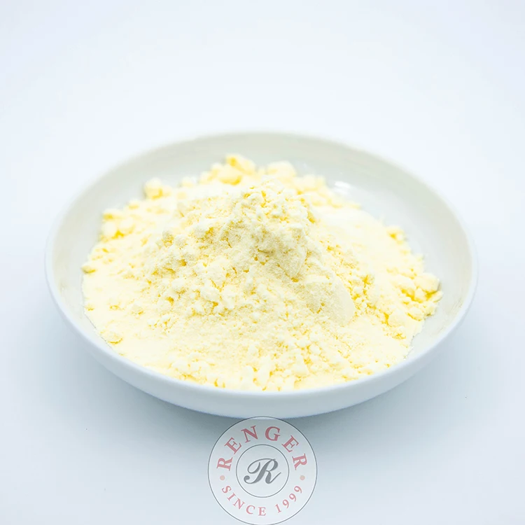 Renger Cheese Flavor Powder for Confectionery