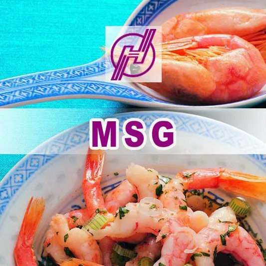 
MSG MONOSODIUM GLUTAMATE 