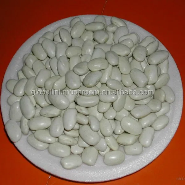 2017 New Crop Japanese White Kidney Beans