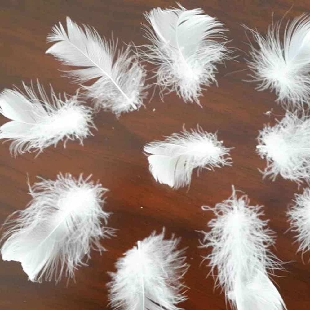 
Bulk washed white goose / duck down feathers for sale 