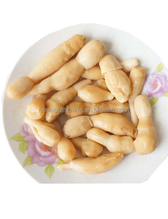 New crop canned drumstick mushroom enoki mushroom 425G