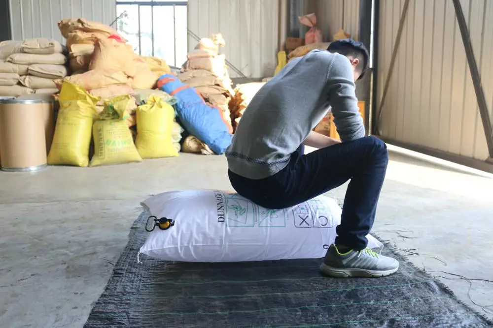 
Custom Printed container Air Inflatable different types of pp woven Dunnage Bag 