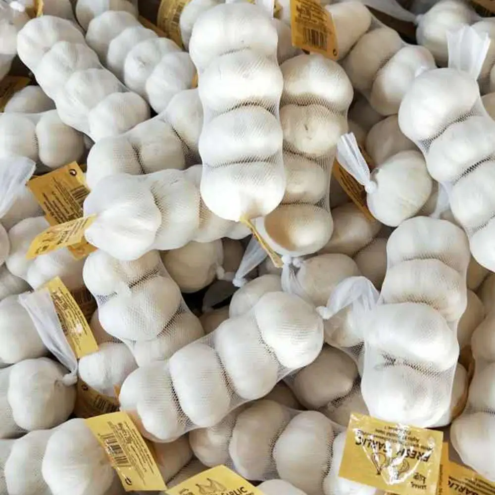 
small size garlic normal white garlic chinese garlic factory 