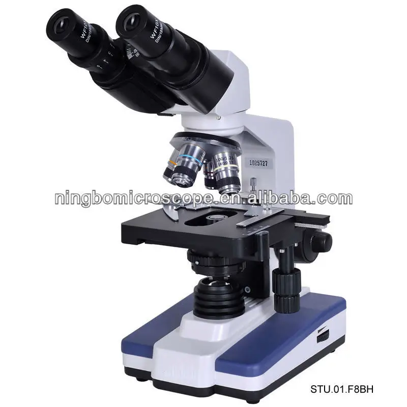 STU.01.F8B&F8BH Elementary Binocular student microscope