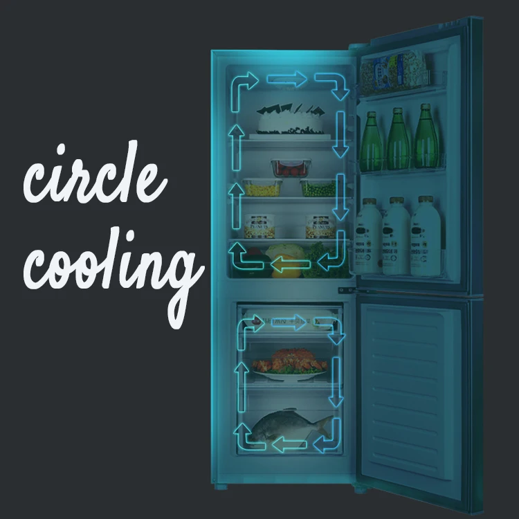 Bottom Freezer Economical 12V Solar Fridge Household Refrigerator BCD-168