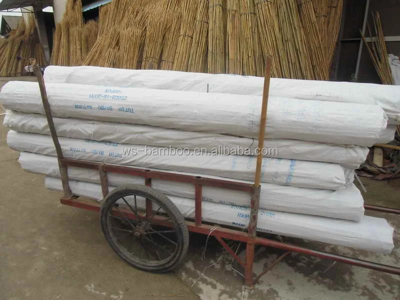 Bamboo Garden Supplies/Bamboo cane for support grape growing 150cm 12--14mm