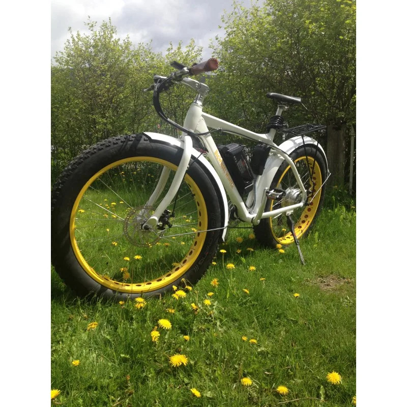 mountain type electric bicycle range best electric scooter e-bike 21-speed derailleur panel high speed A380P