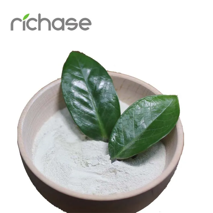 Wholesale Price Ferrous Sulphate For Plants Powder Monohydrate China Factory