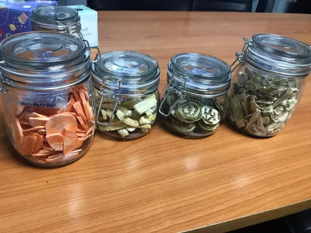 
New Generation 0.6m2 (square) Home Application Fruit Vacuum Freeze Dryer Lyophilizer 