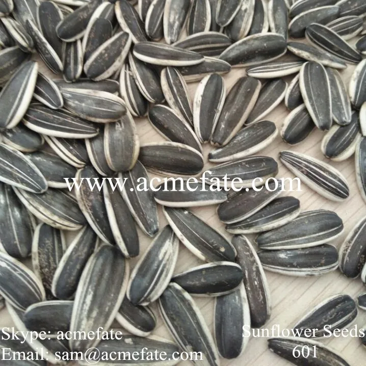 
chinese sunflower seeds Wholesale raw black Sunflower Seeds flower seed  (60665513596)