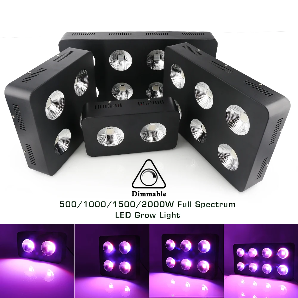 ZW0223-ZW0226 (13).jpg