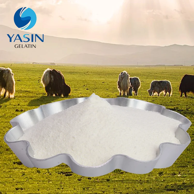 ЛУЧШИЙ Чистый белок коллагена из говяжьего кости для раствора коллагена для полости рта