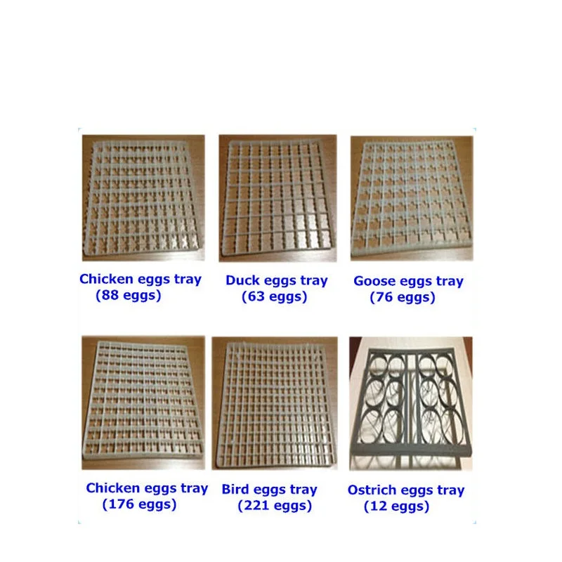 Wholesale PP plastic incubator quail egg tray for Hatching Eggs incubator