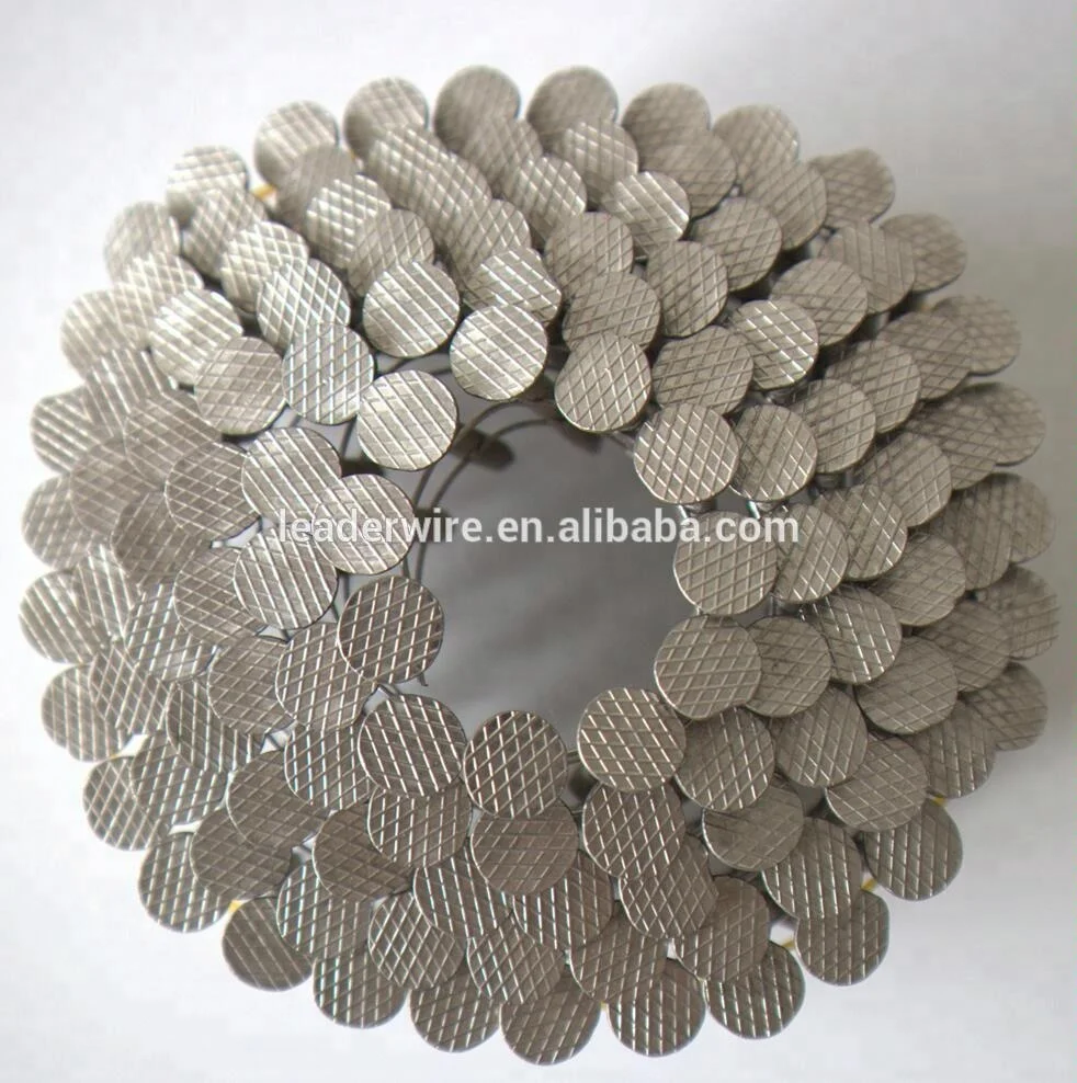 Stainless Steel Roofing Coil Nails for Pneumatic Nail Gun