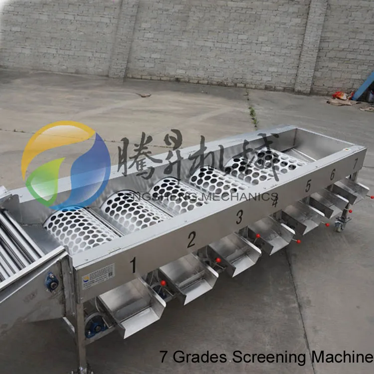 Fruit vegetable sorting machine/potato lemon orange sorter machine for sale